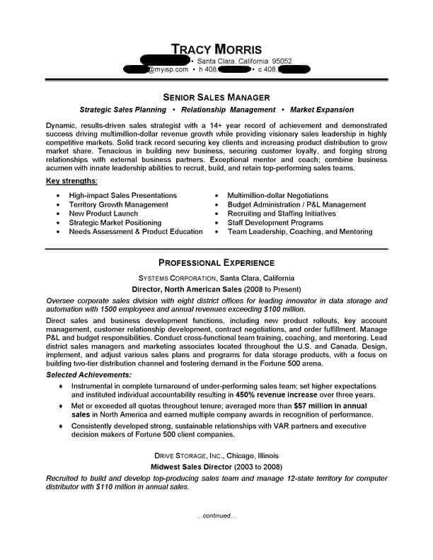 Sales Manager Resume Examples